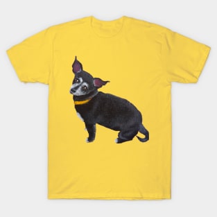 Buttercup T-Shirt